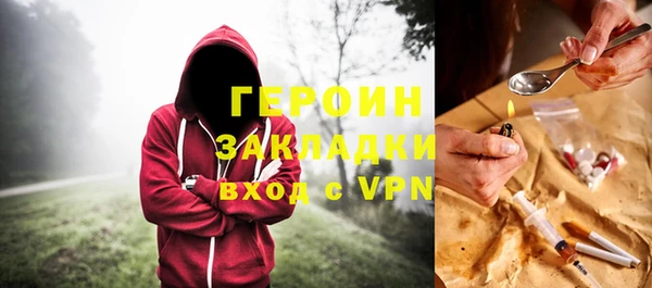 индика Протвино