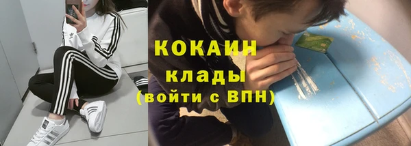соль ск Алексин