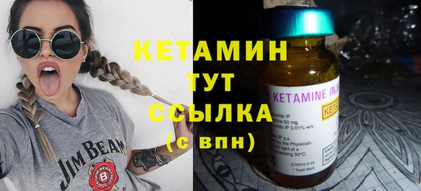 индика Протвино